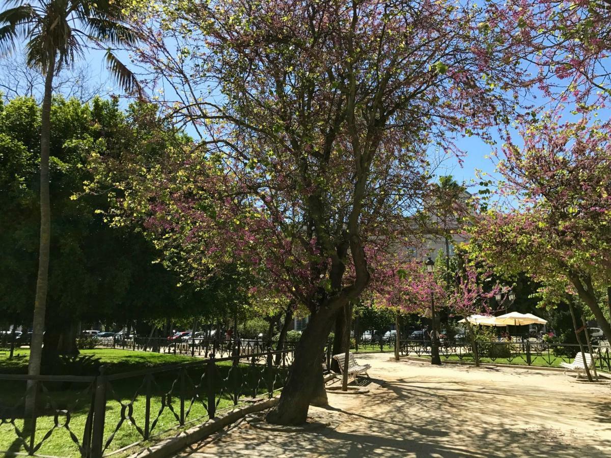 카디스 El Patio 아파트 외부 사진